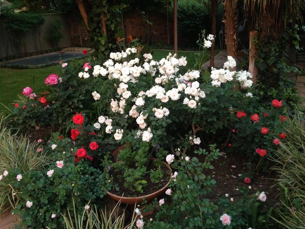 Anne'S Place พ็อตเชฟสตรูม ภายนอก รูปภาพ